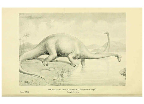 Reproducción/Reproduction 6288816592: Extinct monsters and creatures of other days London :Chapman & Hall,1910