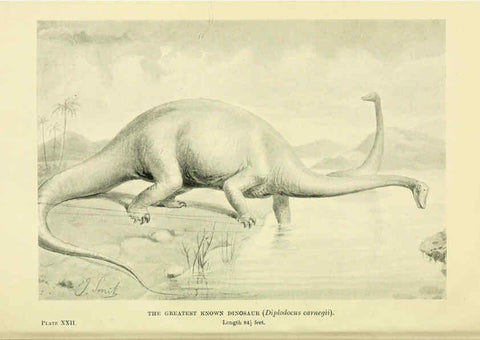 Reproducción/Reproduction 6288816592: Extinct monsters and creatures of other days London :Chapman & Hall,1910