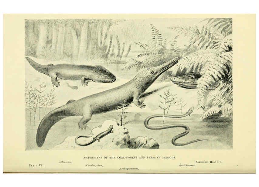 Reproducción/Reproduction 6288293805: Extinct monsters and creatures of other days London :Chapman & Hall,1910