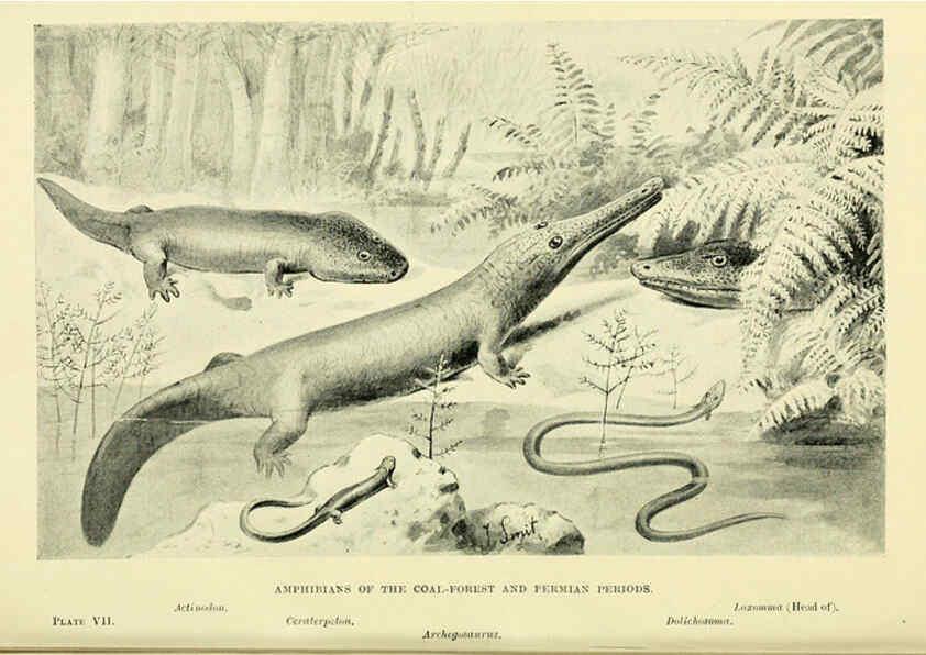 Reproducción/Reproduction 6288293805: Extinct monsters and creatures of other days London :Chapman & Hall,1910