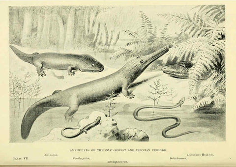 Reproducción/Reproduction 6288293805: Extinct monsters and creatures of other days London :Chapman & Hall,1910