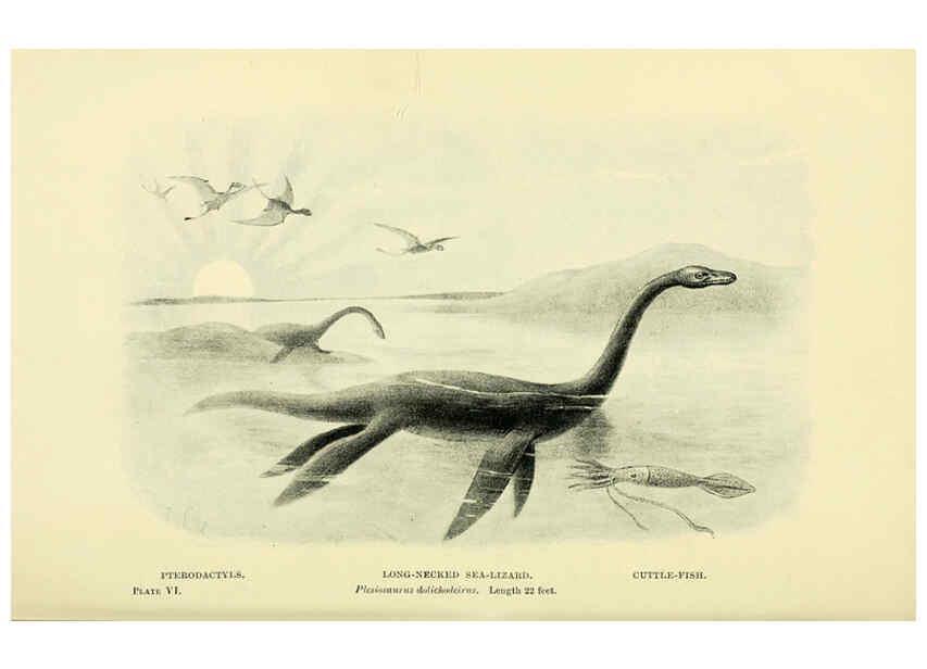 Reproducción/Reproduction 6288293639: Extinct monsters and creatures of other days London :Chapman & Hall,1910