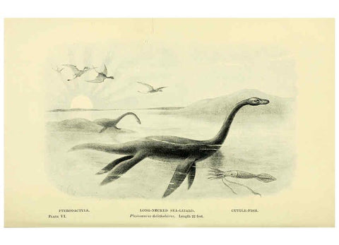 Reproducción/Reproduction 6288293639: Extinct monsters and creatures of other days London :Chapman & Hall,1910