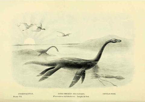 Reproducción/Reproduction 6288293639: Extinct monsters and creatures of other days London :Chapman & Hall,1910