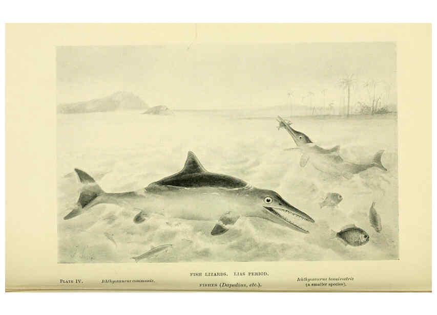Reproducción/Reproduction 6288293285: Extinct monsters and creatures of other days London :Chapman & Hall,1910