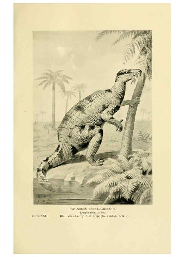 Reproducción/Reproduction 6288296467: Extinct monsters and creatures of other days London :Chapman & Hall,1910