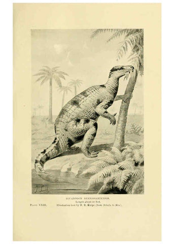 Reproducción/Reproduction 6288296467: Extinct monsters and creatures of other days London :Chapman & Hall,1910