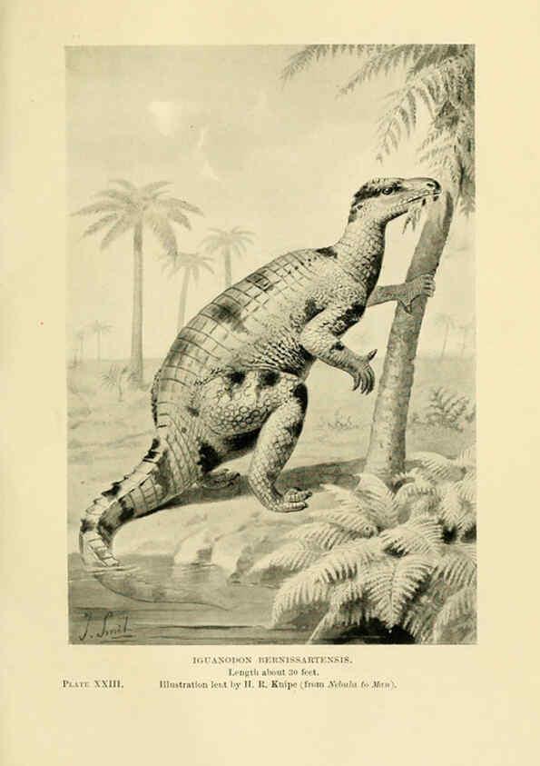 Reproducción/Reproduction 6288296467: Extinct monsters and creatures of other days London :Chapman & Hall,1910