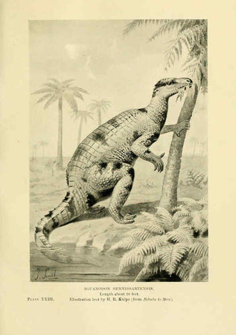 Reproducción/Reproduction 6288296467: Extinct monsters and creatures of other days London :Chapman & Hall,1910