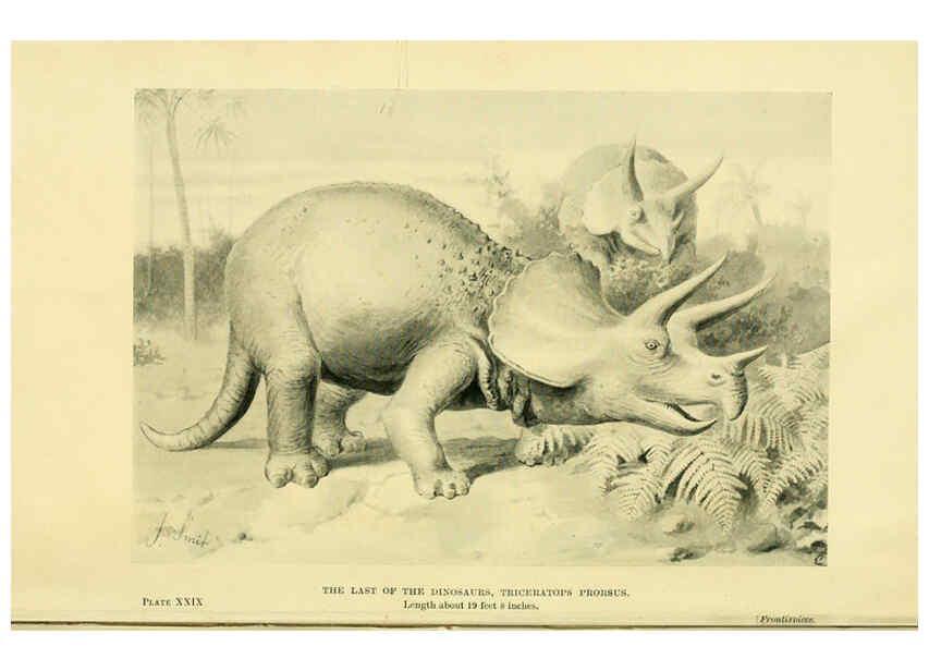 Reproducción/Reproduction 6288812884: Extinct monsters and creatures of other days London :Chapman & Hall,1910