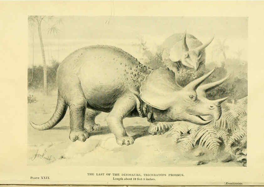 Reproducción/Reproduction 6288812884: Extinct monsters and creatures of other days London :Chapman & Hall,1910