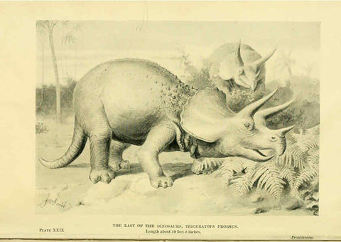 Reproducción/Reproduction 6288812884: Extinct monsters and creatures of other days London :Chapman & Hall,1910