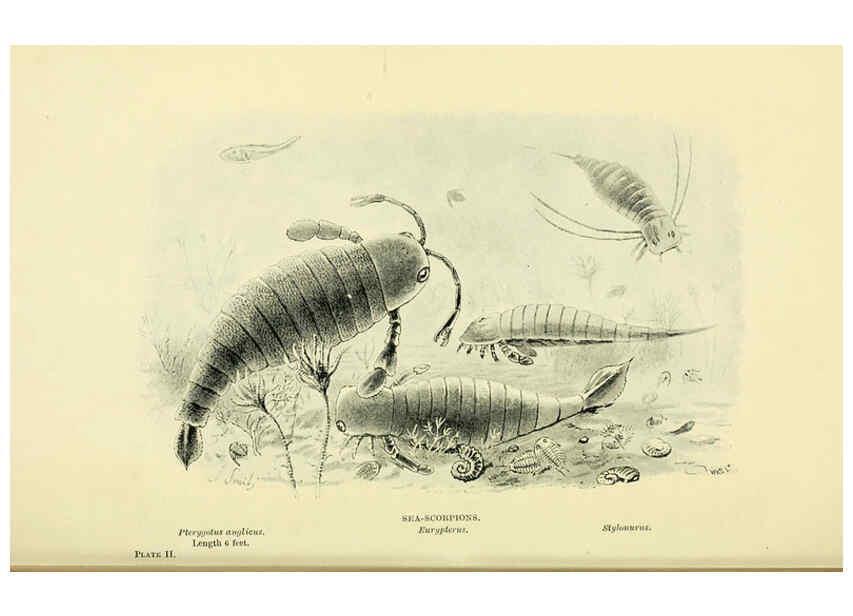 Reproducción/Reproduction 6288813190: Extinct monsters and creatures of other days London :Chapman & Hall,1910