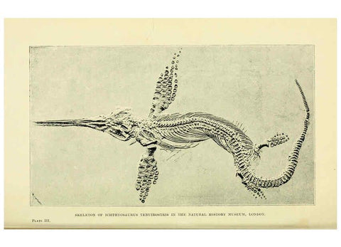 Reproducción/Reproduction 6288293167: Extinct monsters and creatures of other days London :Chapman & Hall,1910