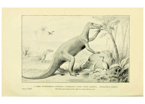 Reproducción/Reproduction 6288816994: Extinct monsters and creatures of other days London :Chapman & Hall,1910
