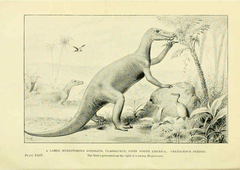Reproducción/Reproduction 6288816994: Extinct monsters and creatures of other days London :Chapman & Hall,1910
