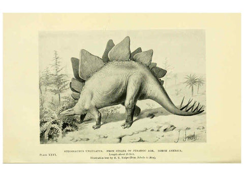 Reproducción/Reproduction 6288817264: Extinct monsters and creatures of other days London :Chapman & Hall,1910