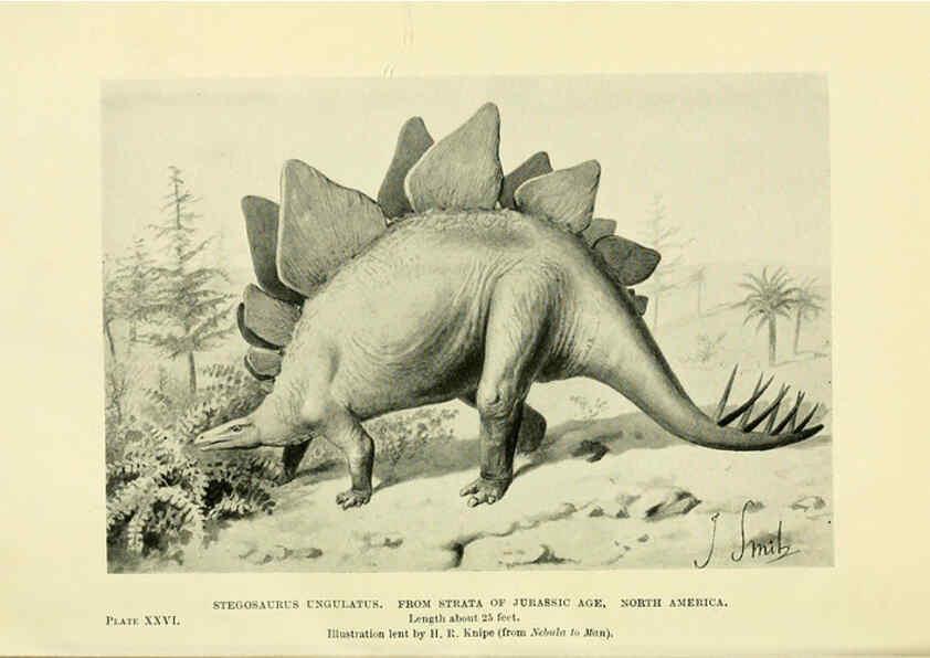 Reproducción/Reproduction 6288817264: Extinct monsters and creatures of other days London :Chapman & Hall,1910