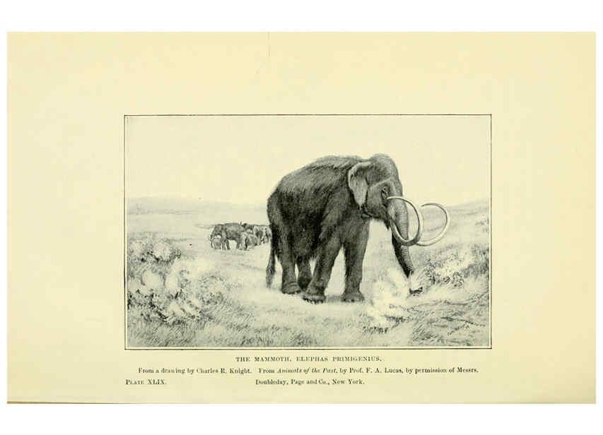 Reproducción/Reproduction 6288821328: Extinct monsters and creatures of other days London :Chapman & Hall,1910