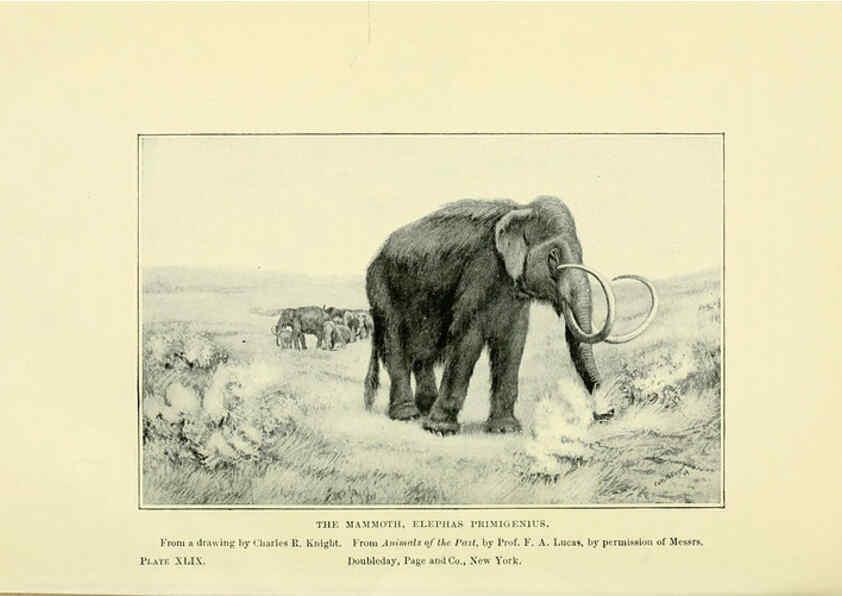 Reproducción/Reproduction 6288821328: Extinct monsters and creatures of other days London :Chapman & Hall,1910