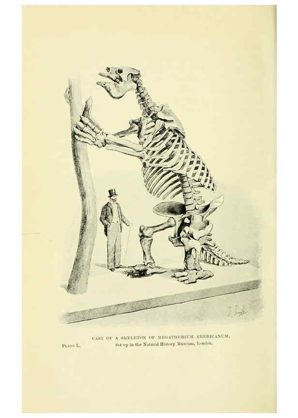 Reproducción/Reproduction 6288301125: Extinct monsters and creatures of other days London :Chapman & Hall,1910