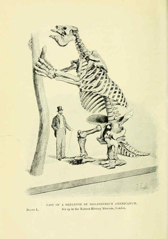 Reproducción/Reproduction 6288301125: Extinct monsters and creatures of other days London :Chapman & Hall,1910