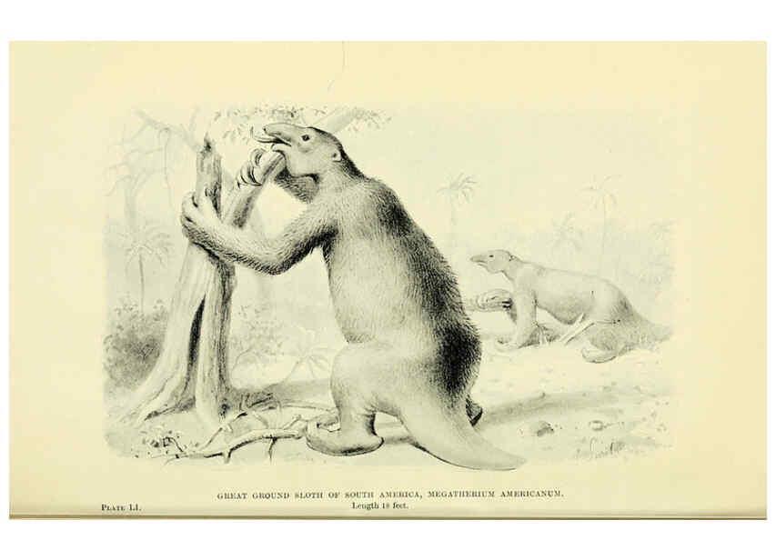 Reproducción/Reproduction 6288821672: Extinct monsters and creatures of other days London :Chapman & Hall,1910