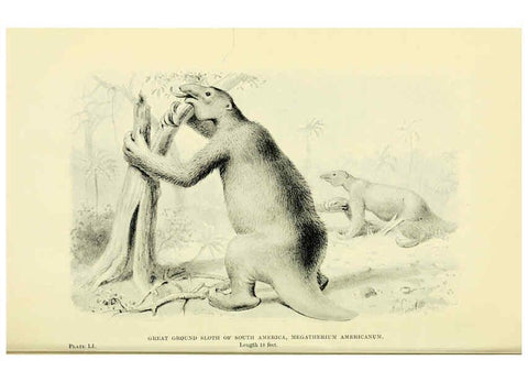 Reproducción/Reproduction 6288821672: Extinct monsters and creatures of other days London :Chapman & Hall,1910