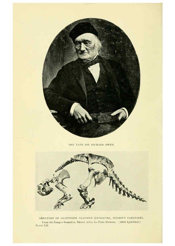 Reproducción/Reproduction 6288821830: Extinct monsters and creatures of other days London :Chapman & Hall,1910
