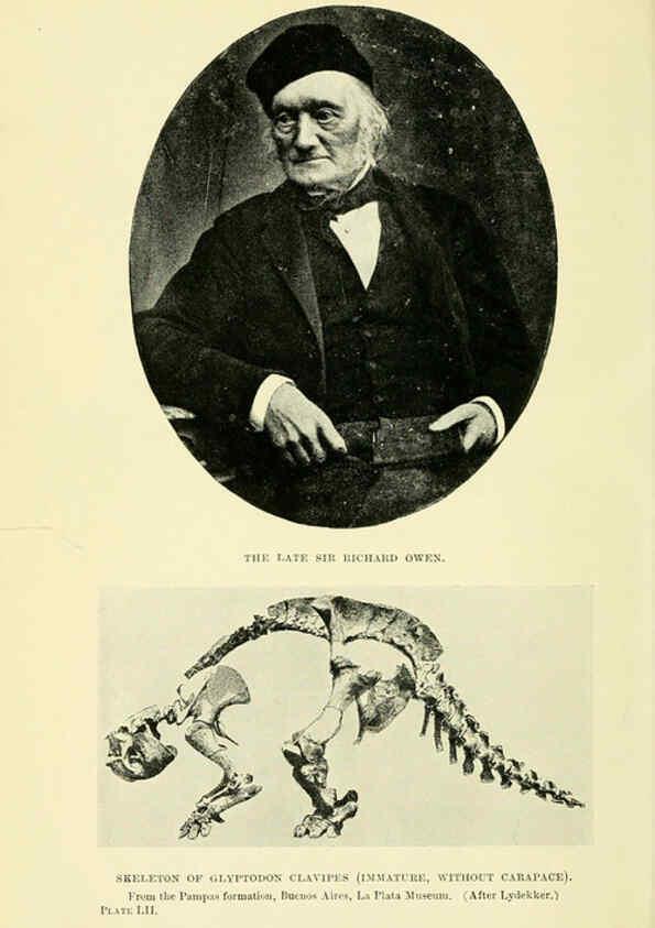 Reproducción/Reproduction 6288821830: Extinct monsters and creatures of other days London :Chapman & Hall,1910