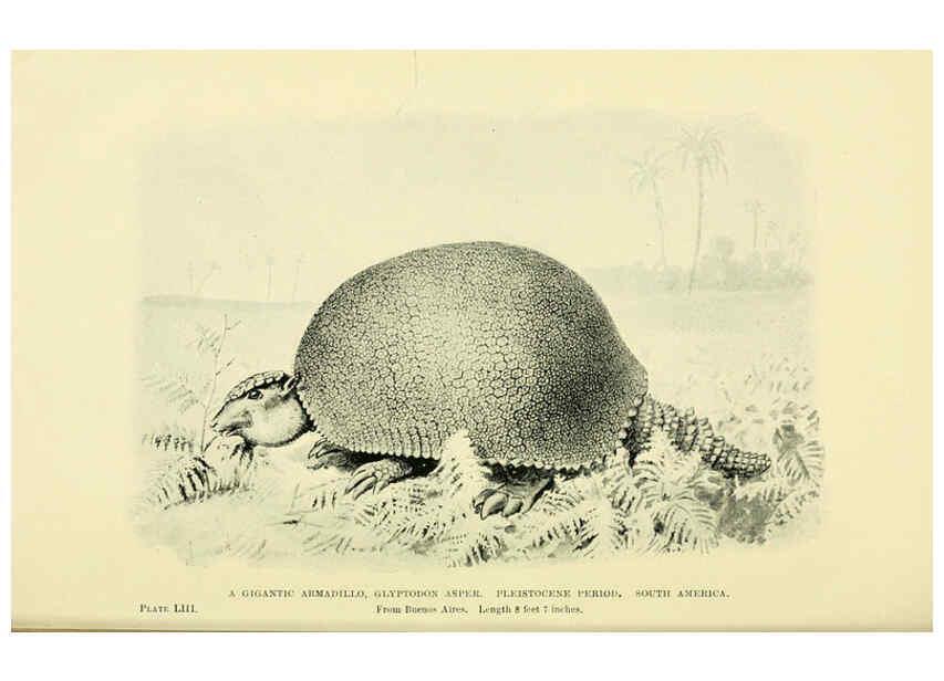 Reproducción/Reproduction 6288821980: Extinct monsters and creatures of other days London :Chapman & Hall,1910