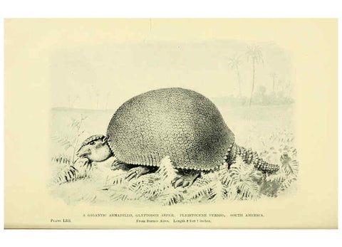 Reproducción/Reproduction 6288821980: Extinct monsters and creatures of other days London :Chapman & Hall,1910
