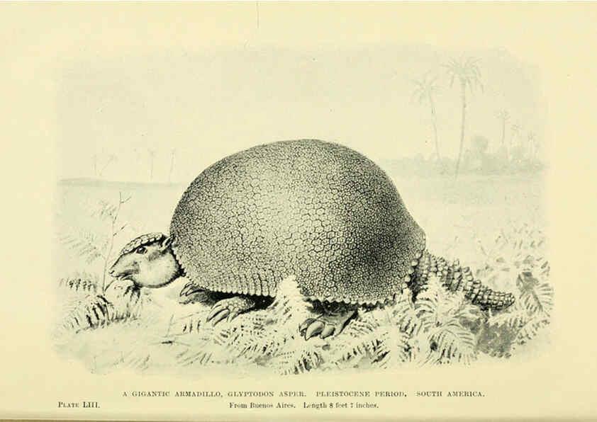 Reproducción/Reproduction 6288821980: Extinct monsters and creatures of other days London :Chapman & Hall,1910