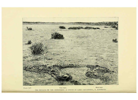 Reproducción/Reproduction 6288301841: Extinct monsters and creatures of other days London :Chapman & Hall,1910