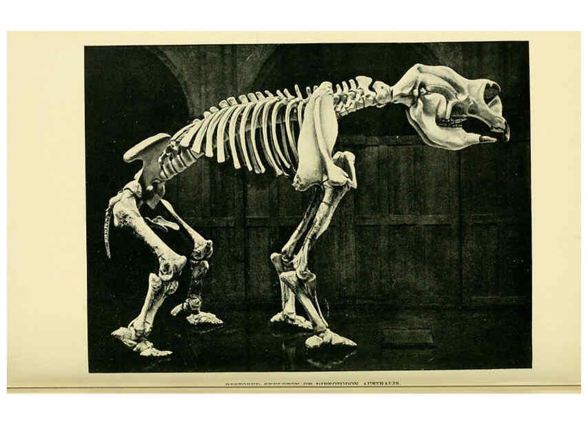 Reproducción/Reproduction 6288822378: Extinct monsters and creatures of other days London :Chapman & Hall,1910