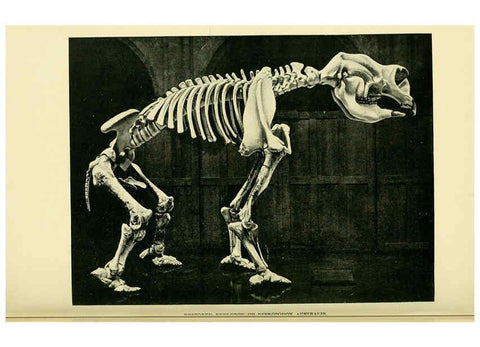 Reproducción/Reproduction 6288822378: Extinct monsters and creatures of other days London :Chapman & Hall,1910