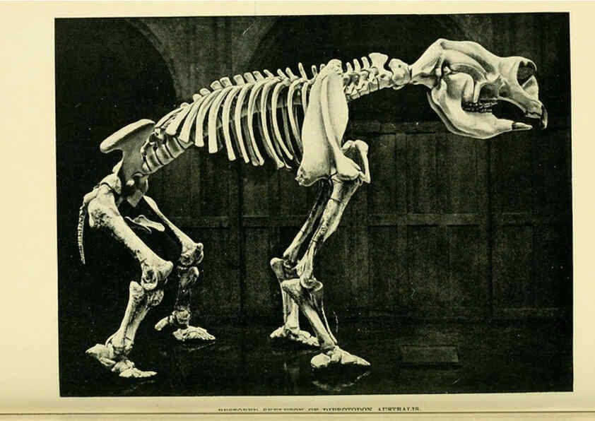 Reproducción/Reproduction 6288822378: Extinct monsters and creatures of other days London :Chapman & Hall,1910