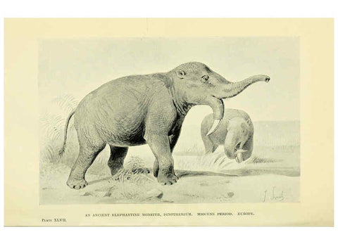 Reproducción/Reproduction 6288300611: Extinct monsters and creatures of other days London :Chapman & Hall,1910