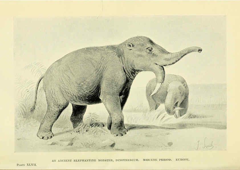 Reproducción/Reproduction 6288300611: Extinct monsters and creatures of other days London :Chapman & Hall,1910