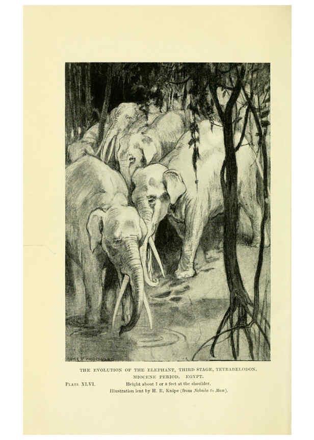 Reproducción/Reproduction 6288300401: Extinct monsters and creatures of other days London :Chapman & Hall,1910