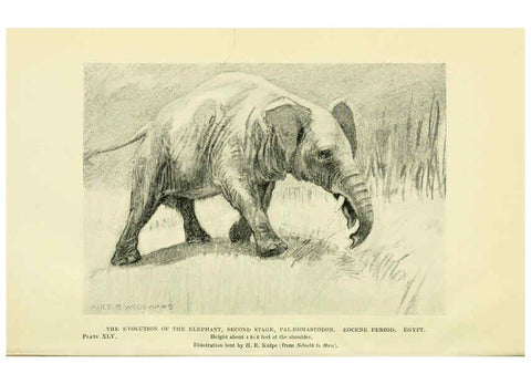 Reproducción/Reproduction 6288300275: Extinct monsters and creatures of other days London :Chapman & Hall,1910