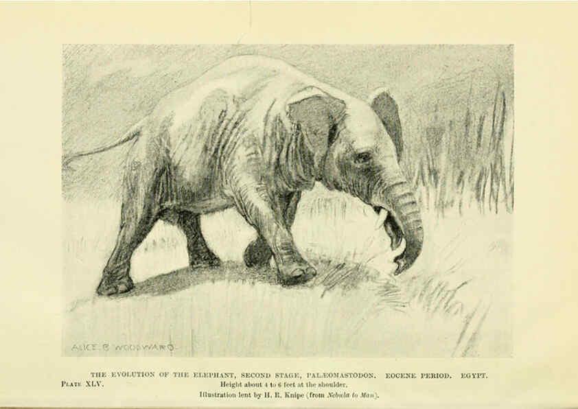 Reproducción/Reproduction 6288300275: Extinct monsters and creatures of other days London :Chapman & Hall,1910
