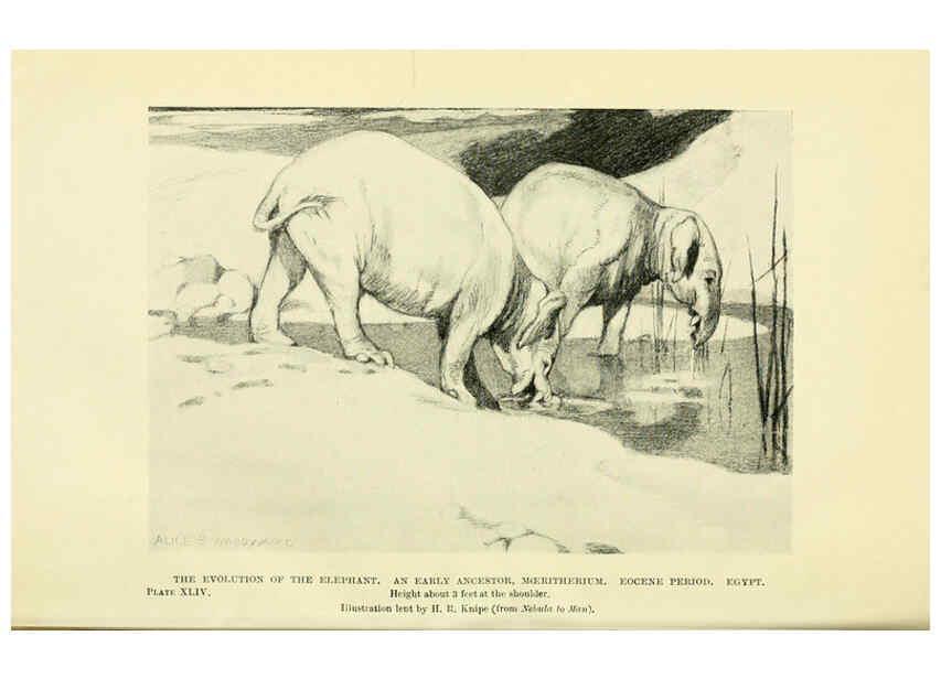 Reproducción/Reproduction 6288300131: Extinct monsters and creatures of other days London :Chapman & Hall,1910
