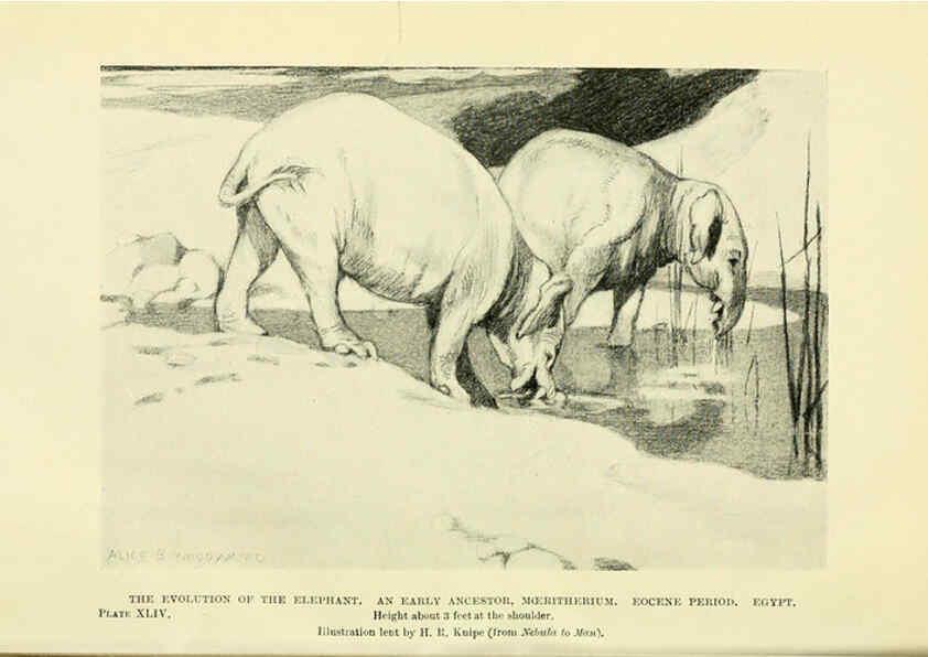 Reproducción/Reproduction 6288300131: Extinct monsters and creatures of other days London :Chapman & Hall,1910