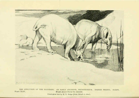 Reproducción/Reproduction 6288300131: Extinct monsters and creatures of other days London :Chapman & Hall,1910