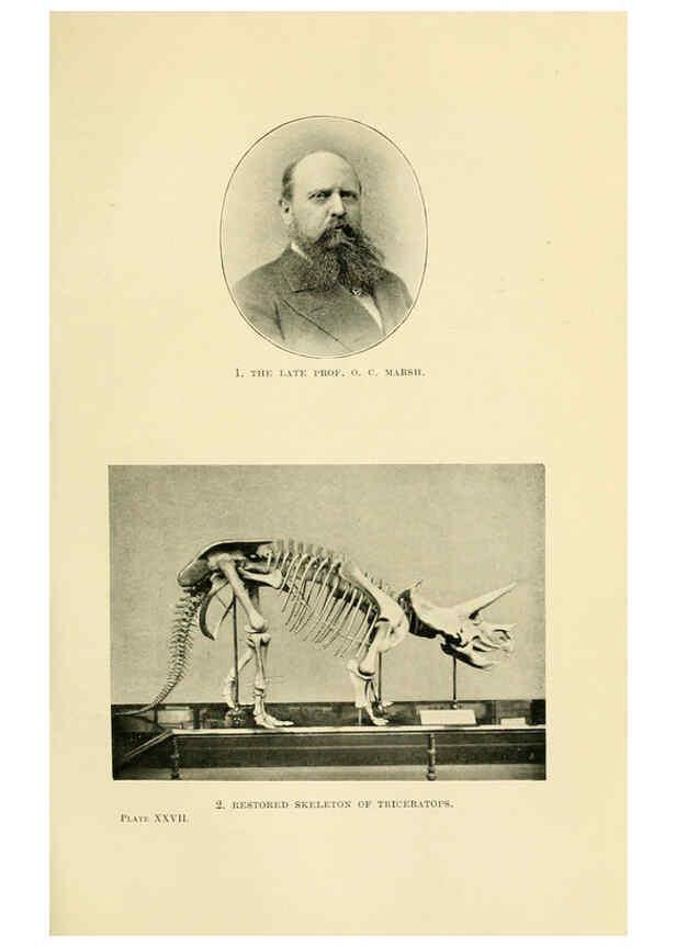 Reproducción/Reproduction 6288297205: Extinct monsters and creatures of other days London :Chapman & Hall,1910