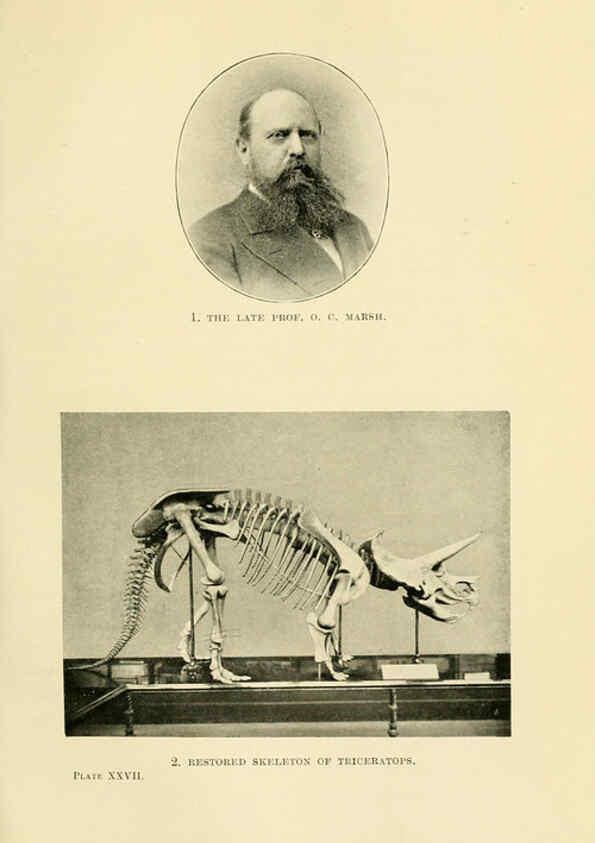Reproducción/Reproduction 6288297205: Extinct monsters and creatures of other days London :Chapman & Hall,1910