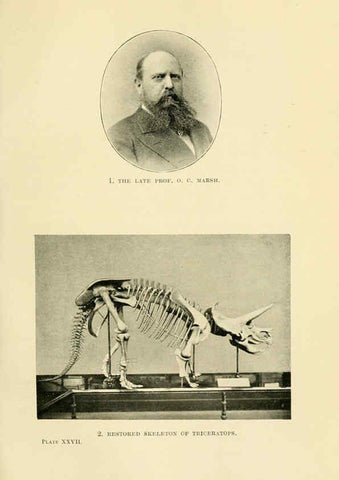 Reproducción/Reproduction 6288297205: Extinct monsters and creatures of other days London :Chapman & Hall,1910