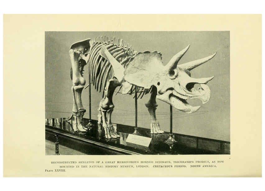 Reproducción/Reproduction 6288297455: Extinct monsters and creatures of other days London :Chapman & Hall,1910