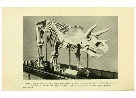 Reproducción/Reproduction 6288297455: Extinct monsters and creatures of other days London :Chapman & Hall,1910